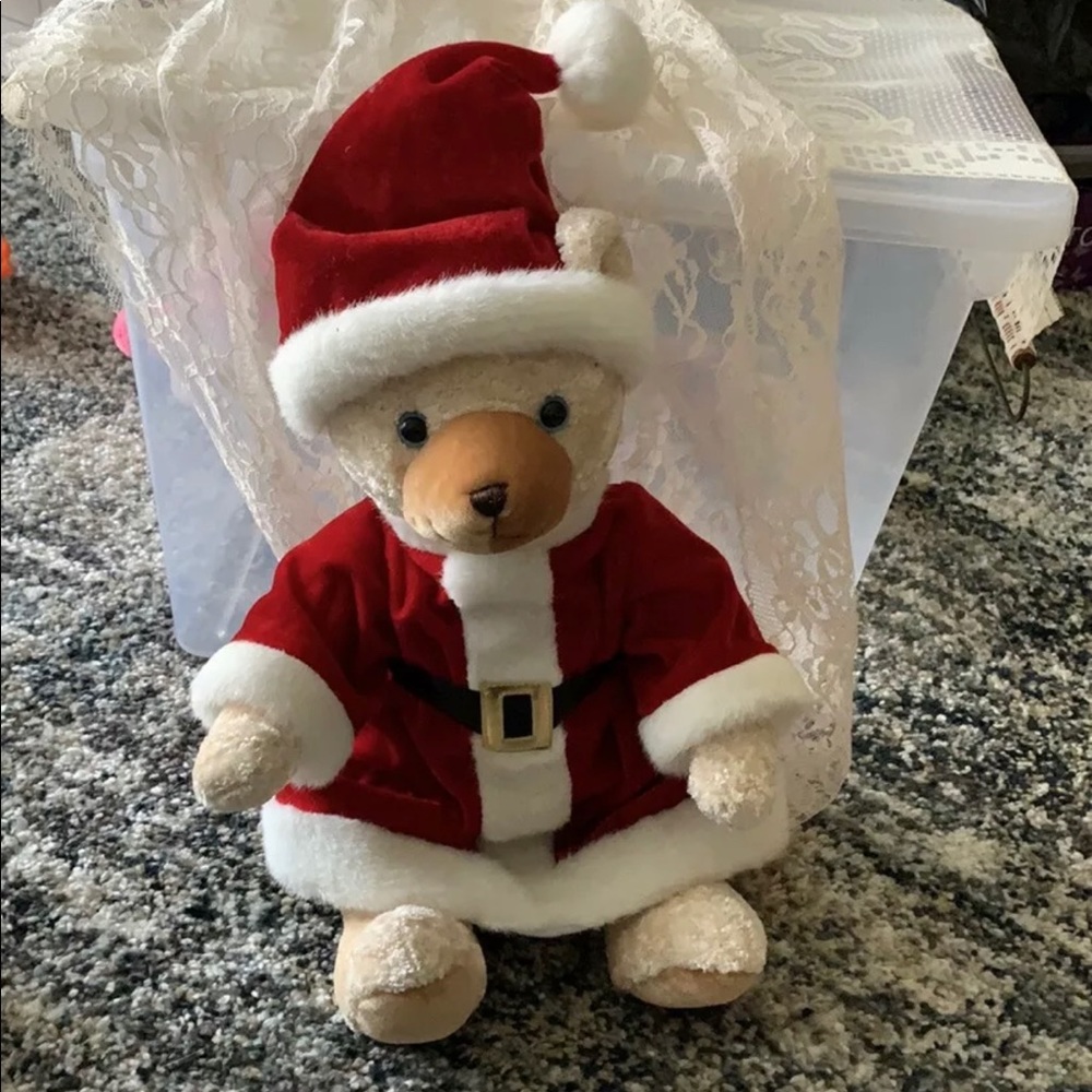Sugar Loaf Santa Teddy Bear Pre Owned